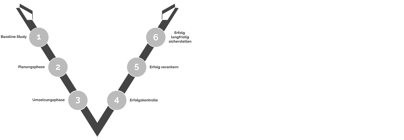 Graphik des Swiss Platinum Consulting 6 Phasen Modells